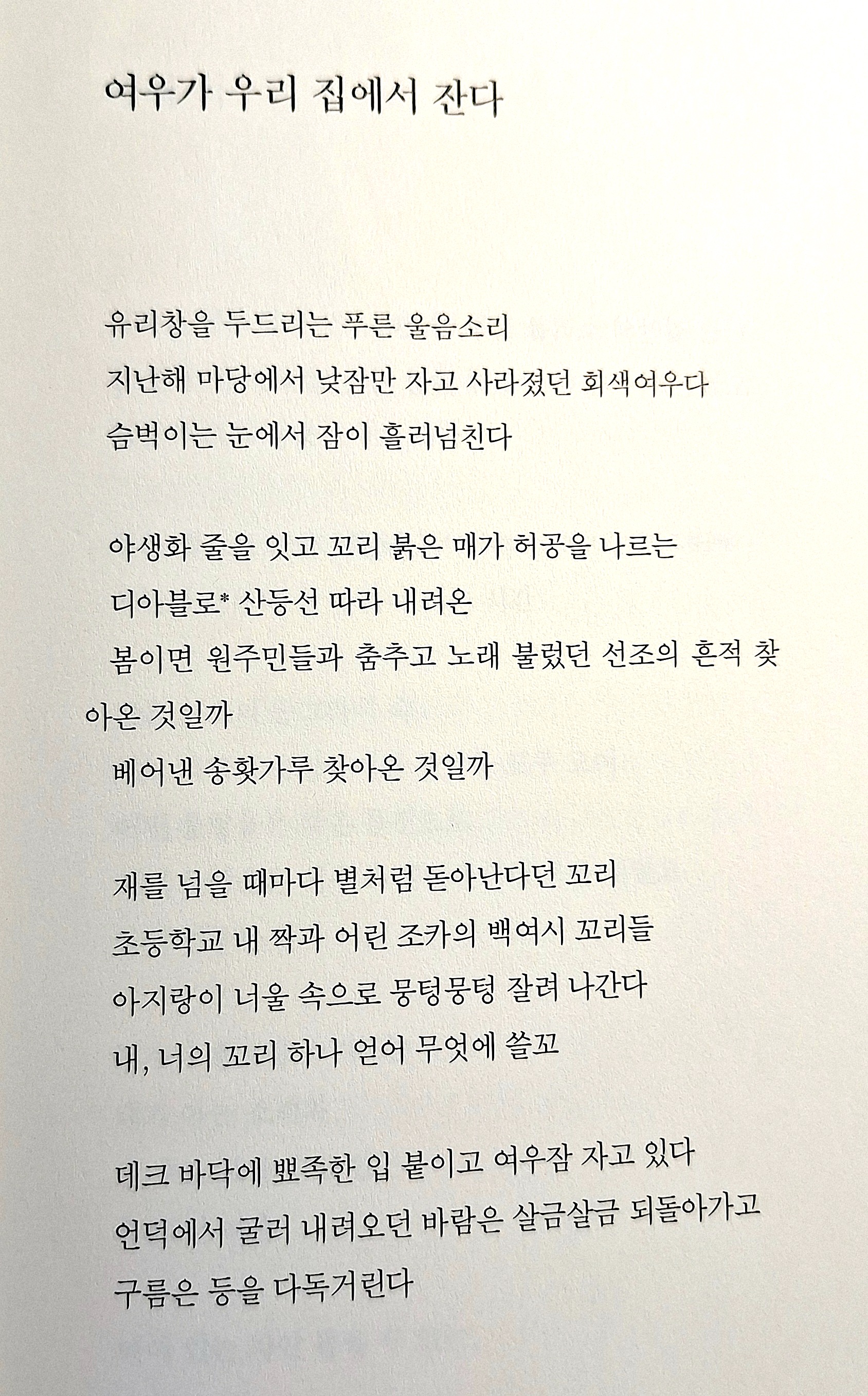 [8월 교우 이야기] 하상회 여름 캠핑 / 황금빛 여행 / 강안나 시집 출간 