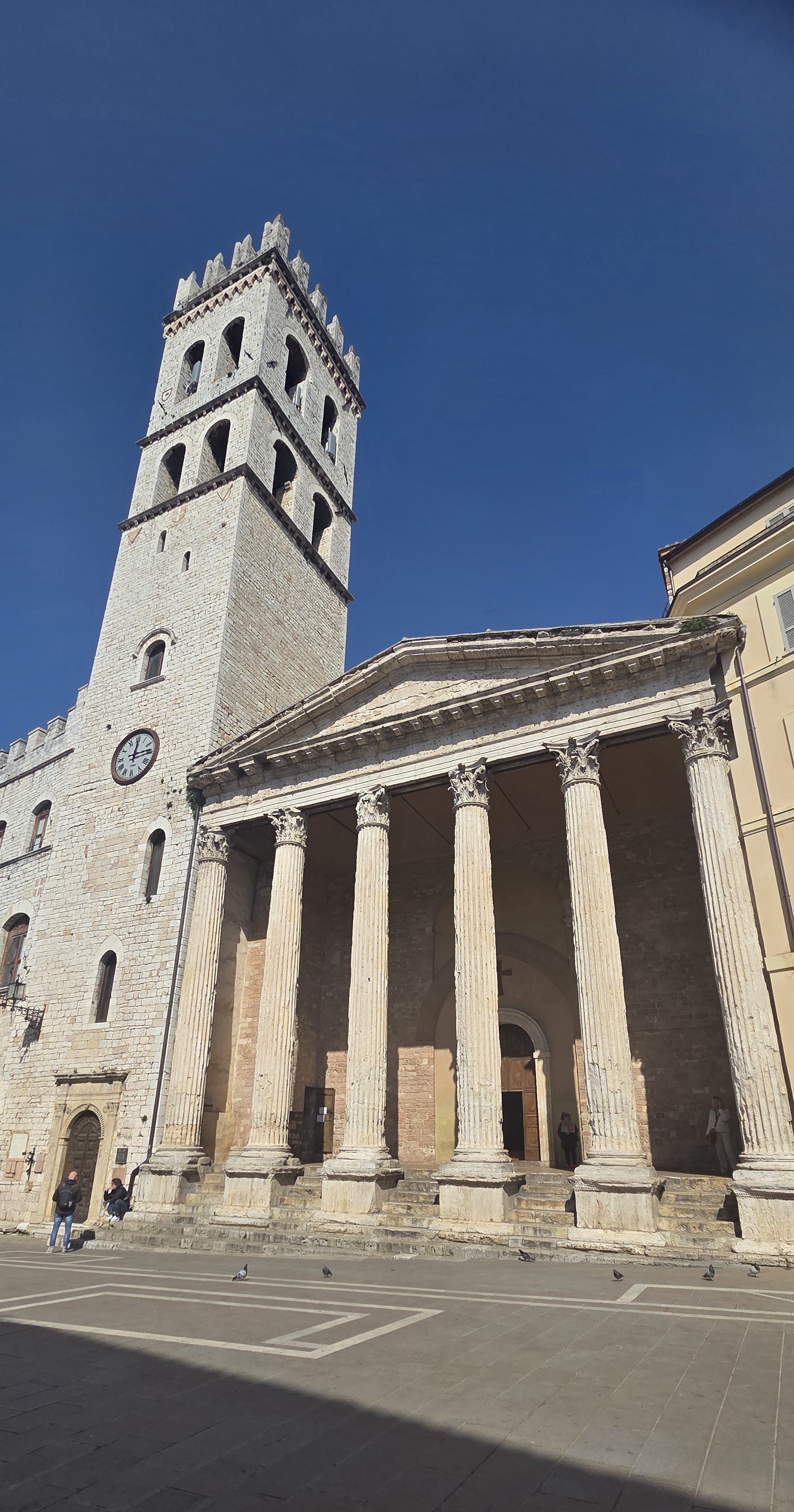 아씨씨 -황혜정 데레사